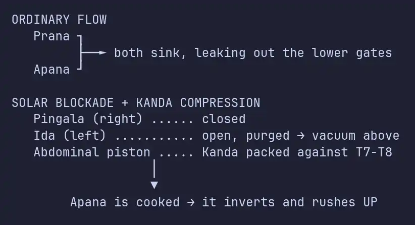 Solar-blockade-kanda-compression