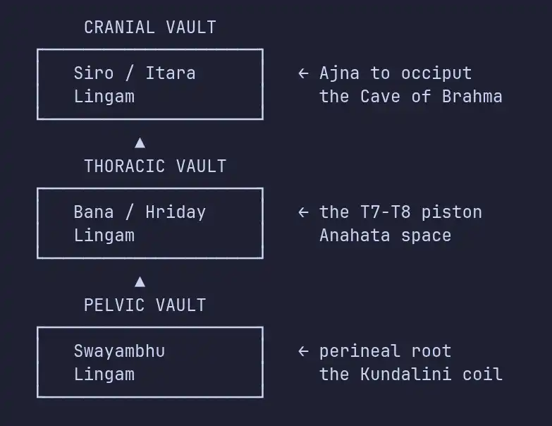 Tri-Lingam